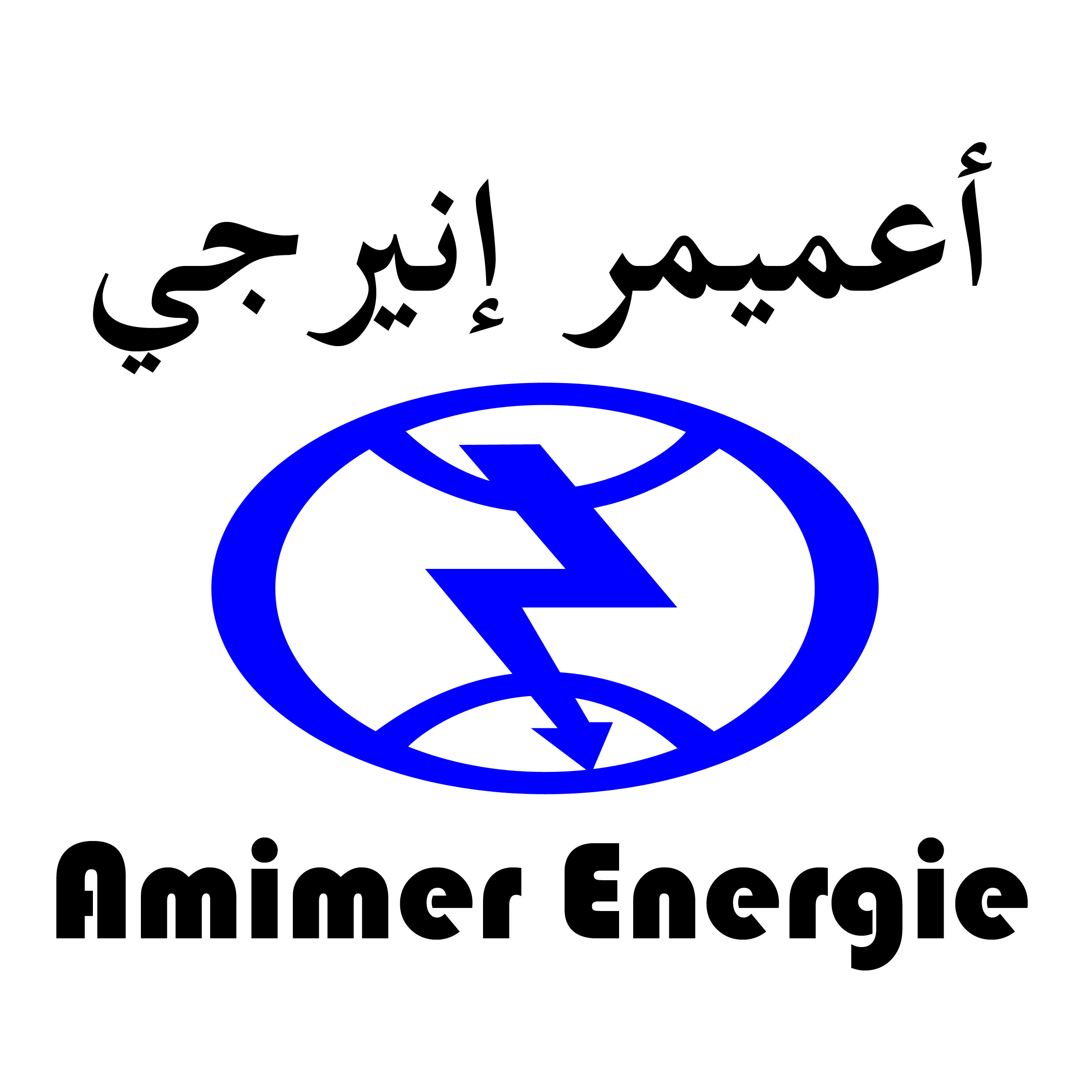 AMIMER-LOGO.jpg